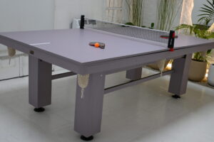Ping Pong