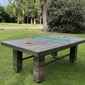 GIUSSEPE MOSCU PING PONG