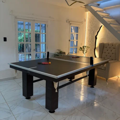 Ping Pong