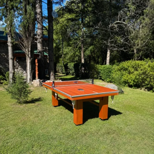Ping Pong